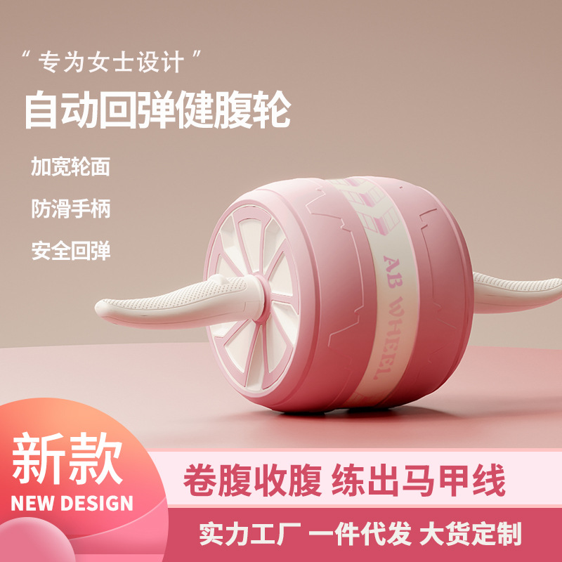 Quiet AB Wheel Roller Home Gym - đánh giá và giá Ab Wheel Roller
