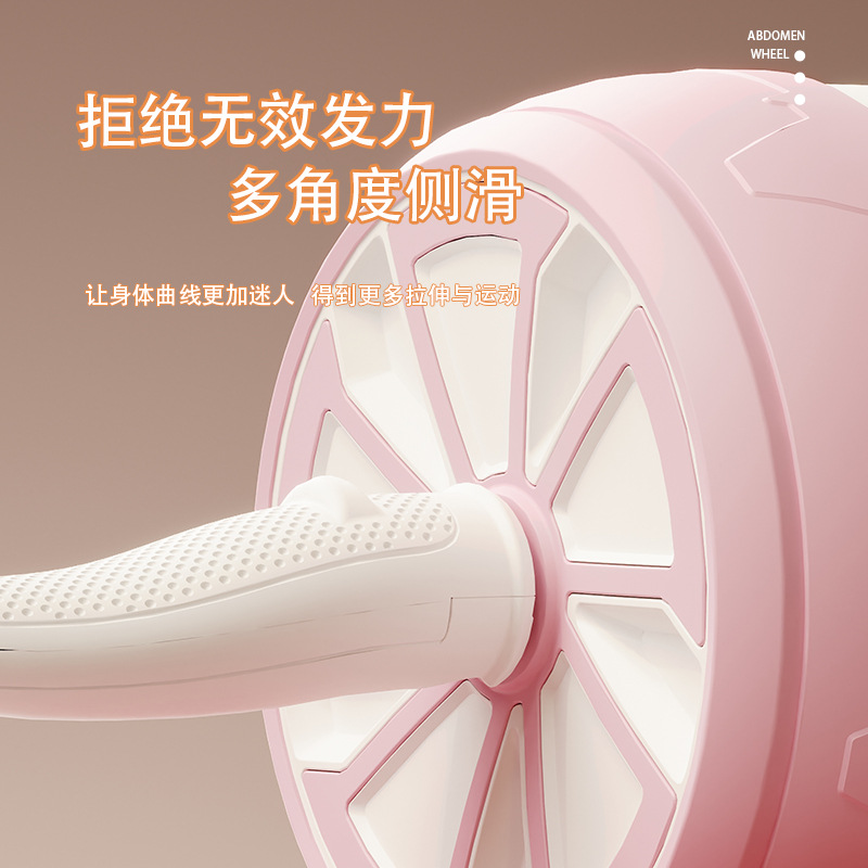 Quiet AB Wheel Roller Home Gym - đánh giá và giá Ab Wheel Roller