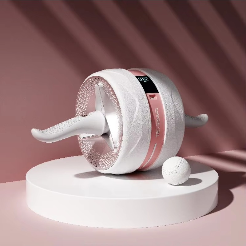 Daily Abdominal Exercise Wheel - đánh giá và giá Ab Wheel Roller